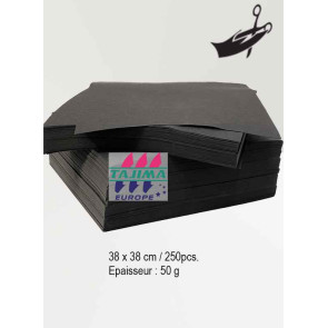 E-ZEEWEB 50g 38x38cm 250 pièces