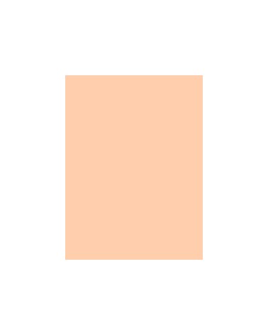 9361882 POLYNEON NO.75 2500m