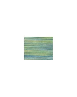 918   POLYNEON  NO.40    5000 m   1602